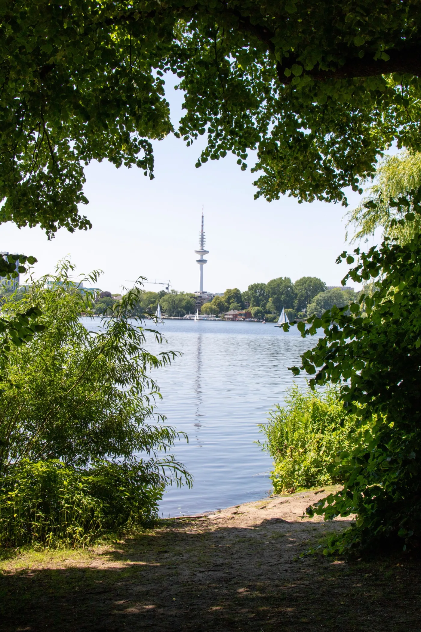 Blick über die Alster in Hamburg — Symbol für ein langfristig gesundes Leben